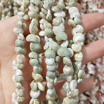 Naravni lupini Beaded polž oblike obrtnih lupina kroglice Za nakit, izdelava DIY Zapestnico, ogrlico pribor fish tank krajine
