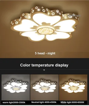 Ultra - tanek novi cvet - slog dnevna soba stropne svetilke sodobne preprost LED spalnica restavracija študija Stropne luči za Razsvetljavo