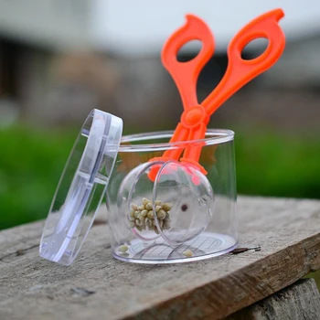 Otrok Šola Krško Insektov Biologijo Študija Orodje Set Plastičnih Škarje Objemka Pinceta Lepe Narave, Raziskovanje Igrača Kit Za Otroke